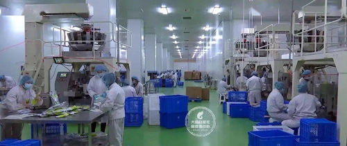 24小時(shí)無死角消毒，大同國(guó)際陸港嚴(yán)把進(jìn)出口食品安全關(guān)